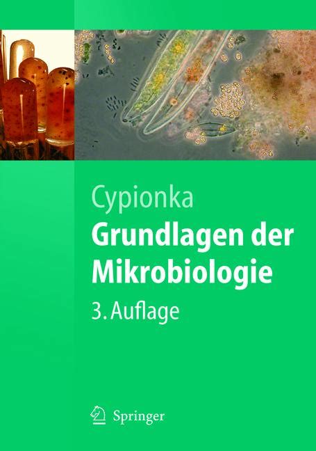 ISBN 9783540240846 Grundlagen Der Mikrobiologie Neu Gebraucht Kaufen