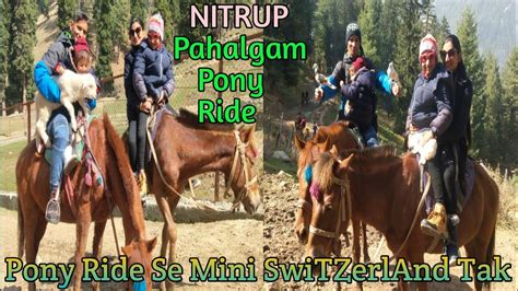 Pahalgam Me Pony Ride Horse Riding India Ka Miniswitzerland Pony