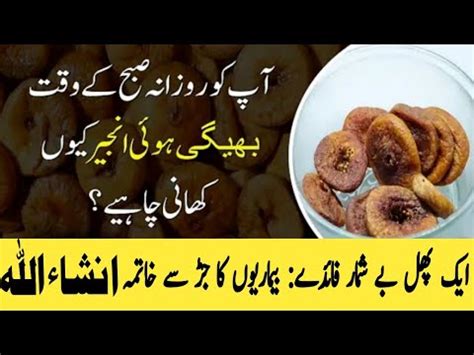 Injeer Anjeer Ke Fayde Figs Health Benefits Urdu Hindi Anjeer Khane