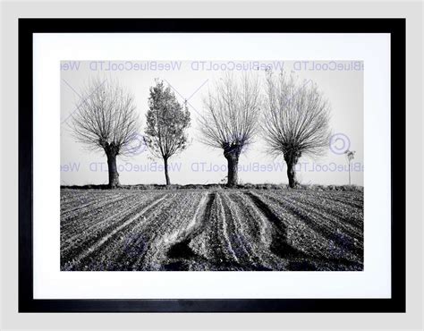 Top 15 of Black and White Framed Art Prints