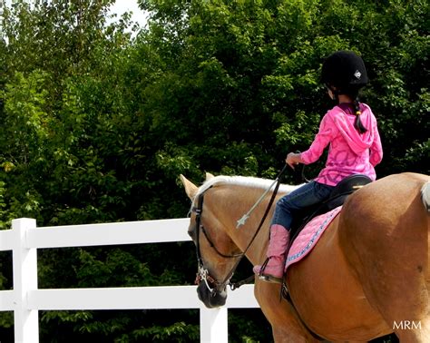 Photos of Horseback Riding Lessons - High Meadows Farms