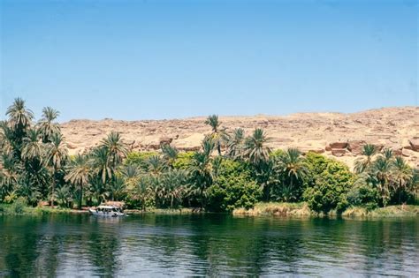 Paysage Forestier Verdoyant De Nile Cruise De Luxe Egypt Voyage D T