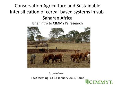 Pdf Conservation Agriculture And Sustainable Intensification Of