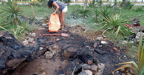 V Ndalos Prenden Fuego A Refugio De Gatitos En Chiclayo Sociedad La