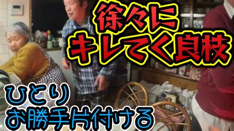 【関慎吾】 良枝 慎吾が見守る中 一人キレながら片付けをする！ 20231128 Youtube