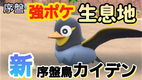 【ポケモンsv】超序盤で捕まえる強ポケモン カイデンの捕獲場所！ Youtube