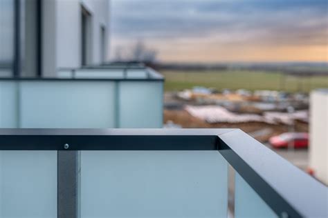 Evergreen | Fotogalerie