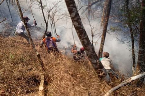 Kebakaran Hutan Gunung Sumbing Meluas 16 Hektare Ludes Dilalap Api