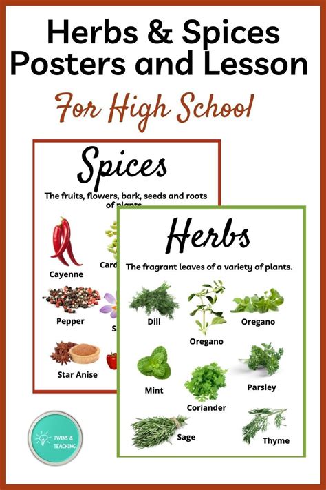 Herbs And Spices Lesson And Activities For Facs And Culinary Arts