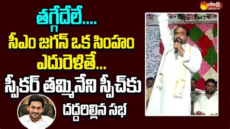 Speaker Thammineni Seetharam Great Words About Cm Ys Jagan