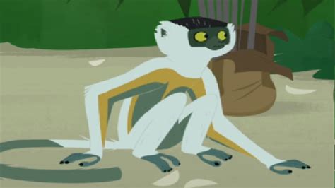 Image Wkanimals3png Wild Kratts Wiki Fandom Powered By Wikia