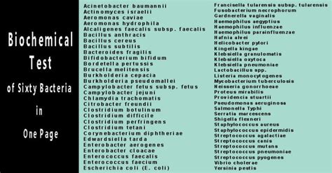 Biochemical Test and Identification of Bacteria