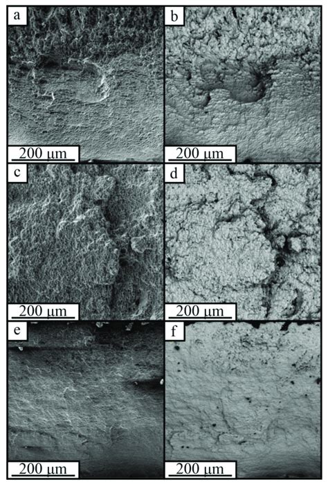 SE BSE Images Of Fracture Surfaces Obtained From Sample 1 A B 2