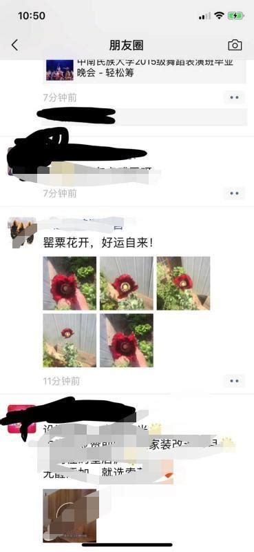 香菜里长出罂粟 发朋友圈炫耀被罚款