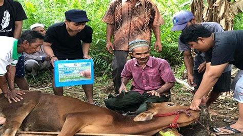 Berbagi Kebahagiaan Idul Adha Warga Non Muslim Dapat Daging Kurban Dari