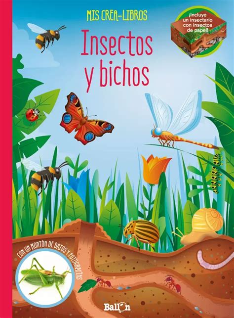 Cuento De Insectos