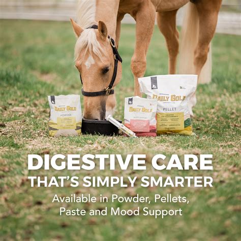 Daily Gold® - Horse Gut Supplement – Redmond Equine