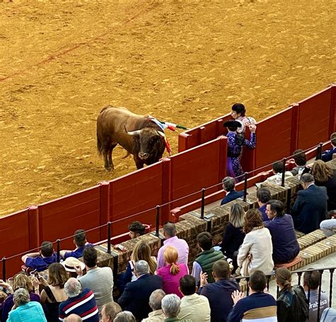 Sevilla – Viva el toro bravo / Teil II › Weltrentner