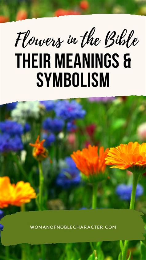 The Incredible Flowers In The Bible And Their Meanings And Symbolism