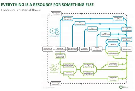 Cradle to Cradle Principles: Insights for Cities