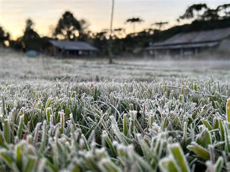 Cidades Do Paran Registram Geada E Temperaturas Negativas Afirma