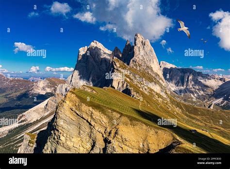 View On Seceda With Birds Flying Over The Peaks Trentino Alto Adige