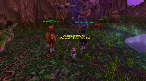 Mountain Horse Wow Mount Guides