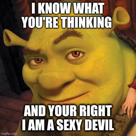 Shrek Memes And S Imgflip