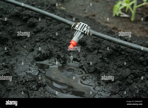 Tropft system Fotos und Bildmaterial in hoher Auflösung Alamy