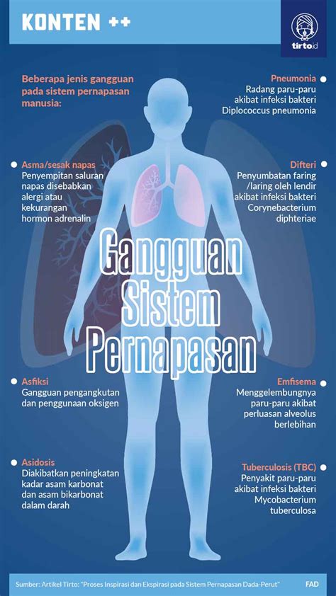 Top Inspirasi Pernapasan Dada Terjadi Karena