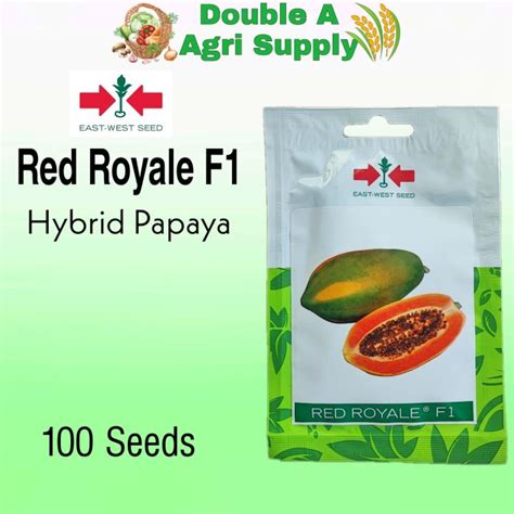 Red Royale F1 Hybrid Papaya East West Seed Lazada Ph