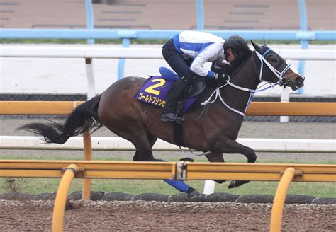 落馬負傷の松山弘平騎手は天皇賞・春も乗り替わり ゴールドプリンセスは鞍上未定 競馬写真ニュース 日刊スポーツ