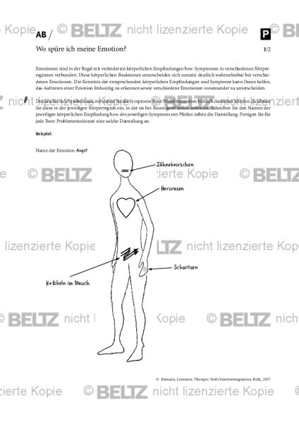 Emotionsregulation Emotionsanalyse Und Emotionsplan Psychotherapie Tools