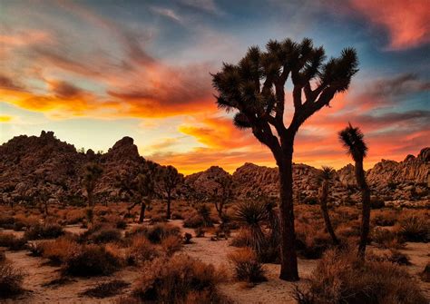 15 Best Things To Do In Yucca Valley Ca Travel Lens