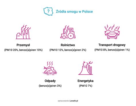 Alergia Na Smog Czym Jest I Jak Si Przed Ni Chroni Loveair Pl