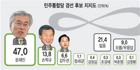 18대 대선 여론조사 민주당 경선후보 지지도 문재인 47 압도적 1위 국민일보