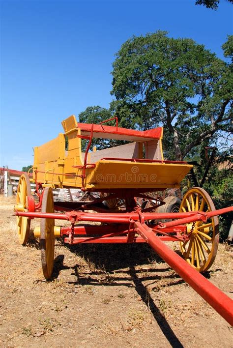 buckboard stock photo image  horses buckboard