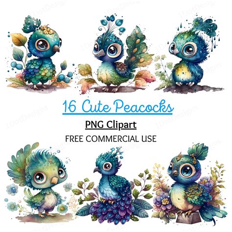 Cute Baby Peacock Clipart Bundle, Peacock PNG, Watercolor Clipart ...