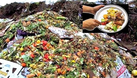 Desperdício Alimentar Qual O Seu Impacto Ambiental