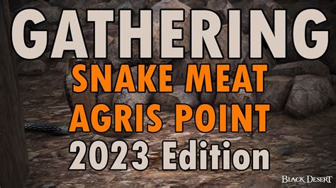 Black Desert Online Gathering Snake Meat 1 Hour 2023 Edition