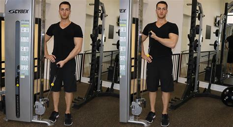 Cross Body Cable Curl - The Optimal You | Online Personal Trainers ...