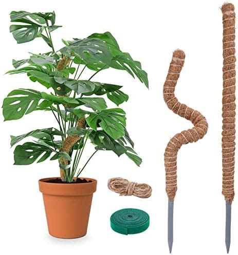 Amazon Pack Moss Pole For Plants Monstera Inch Plant