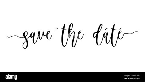 Vector Illustration Of Save The Date Handwritten Modern Brush Lettering