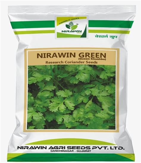 Nirawin Green Coriander Seed At Rs Kg Coriander Seed In Indore