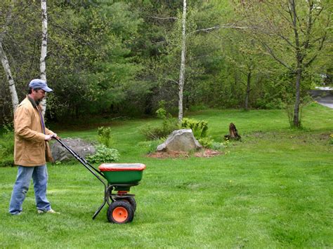 How To Fertilize Your Lawn In Fall HGTV