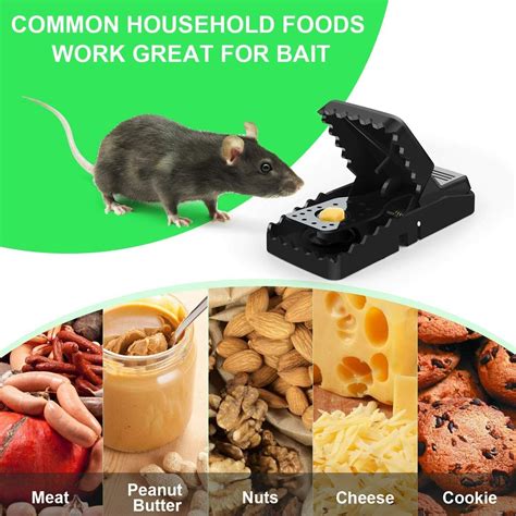 6 Pack Mouse Traps Rat Mice Killer Snap Trap Power Rodent Heavy Duty