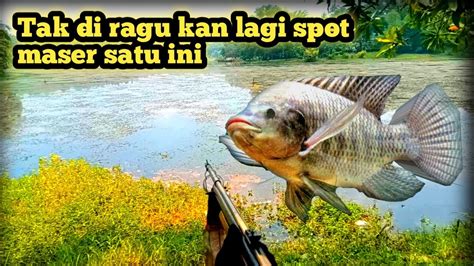 MASER IKAN DI SPOT YANG TAK DIRAGUKAN LAGI YouTube