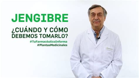 Beneficios De La Infusion De Jengibre Y Manzanilla Actualizado Marzo