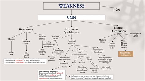 Concept Maps ‘approach To A Patient With Weakness’ Youtube