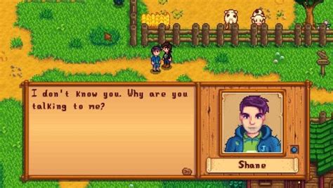 How To Marry Shane In Stardew Valley